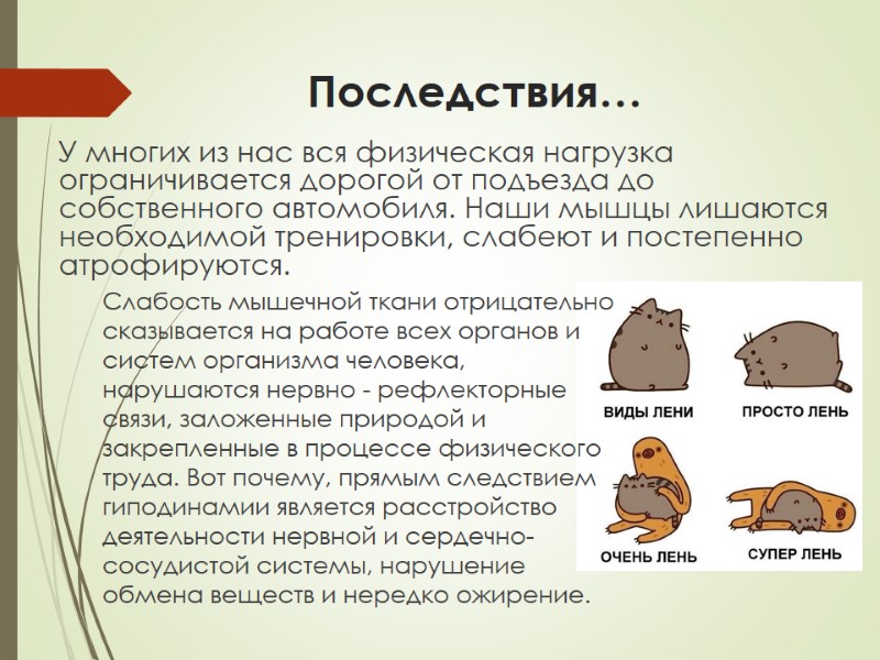 Последствия…     У многих из нас вся физическая нагрузка ограничивается дорогой